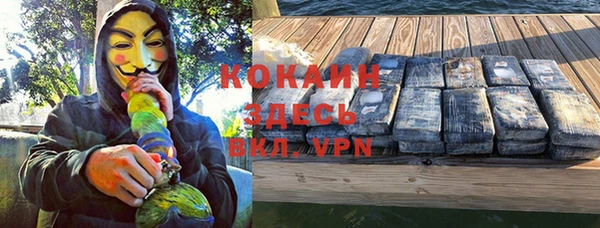 гашик Краснослободск