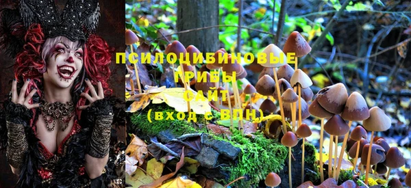 гашик Краснослободск