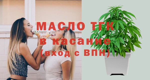 гашик Краснослободск