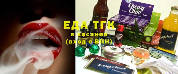 гашик Краснослободск